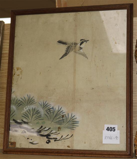 Chinese School Sparrow flying beside a pine branch 13.5 x 11in.